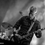 Mastodon