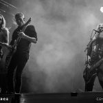 Mastodon