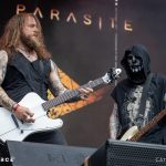 High Parasite