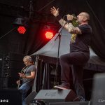 Orange Goblin