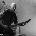 Vreid