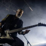 Vreid