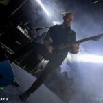Vreid