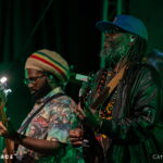 The Wailers