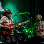 The Wailers