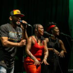 The Wailers