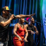 The Wailers
