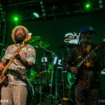 The Wailers