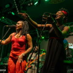 The Wailers