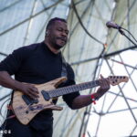 Animals as Leaders