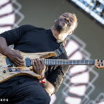 Animals as Leaders
