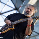 Animals as Leaders
