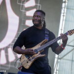 Animals as Leaders