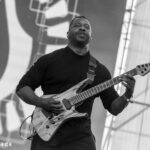 Animals as Leaders