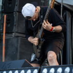 Necrotted