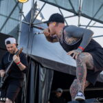 Necrotted