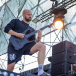 Necrotted