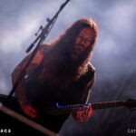 Wolves in the Throne Room