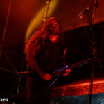 Wolves in the Throne Room