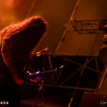 Wolves in the Throne Room