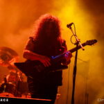 Wolves in the Throne Room