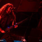 Wolves in the Throne Room