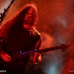 Wolves in the Throne Room