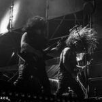 Wolves in the Throne Room