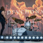 Psychonaut
