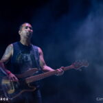 Alcest