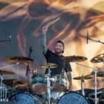 Carcass