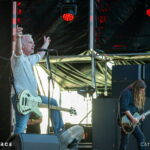 Carcass