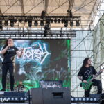 Cryptopsy