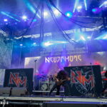 Nevermore