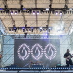 Animals as Leaders