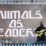 Animals as Leaders